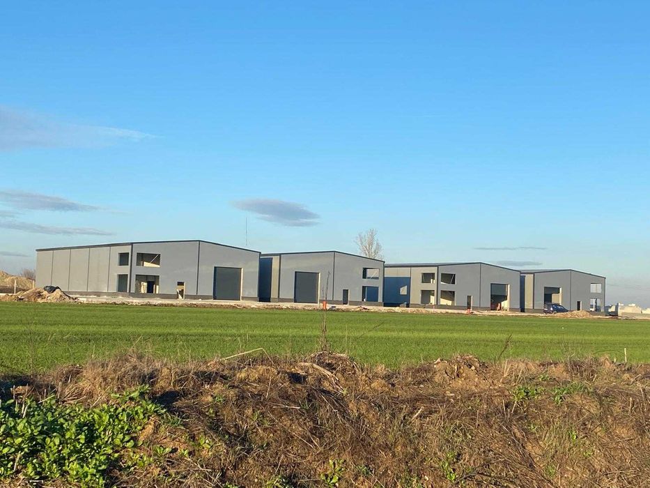 Hala de inchiriat Balotesti/Ilfov