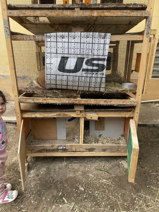 Quyon ini kaletka kafasa