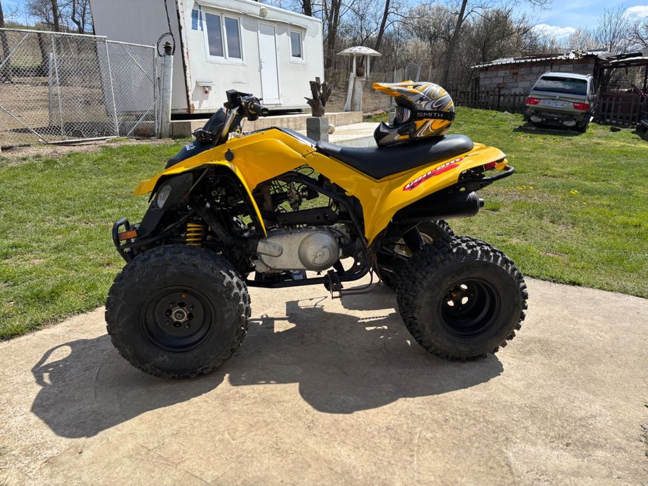 АТВ Can-am 250-DS