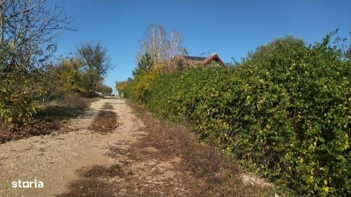 Teren Ciolpani langa lac și pădure Zona Snagov