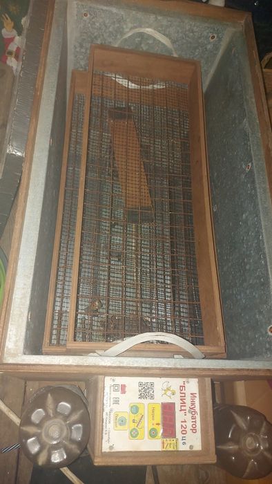Инкубатор Блиц 120