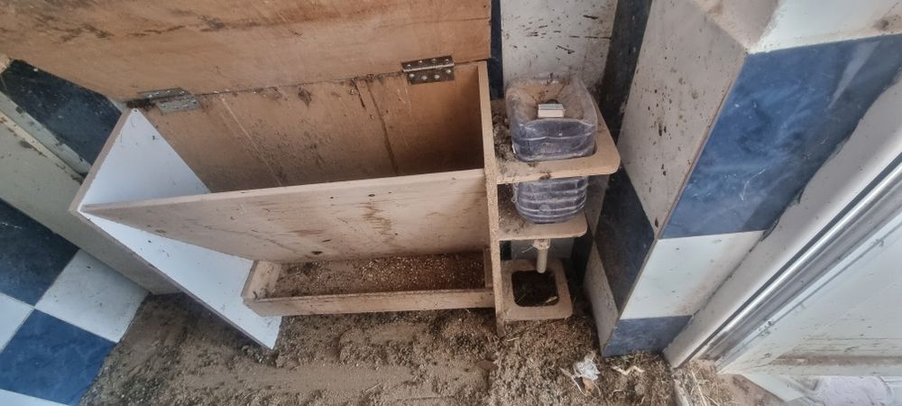 Брудер,  кормушка и домики для кур