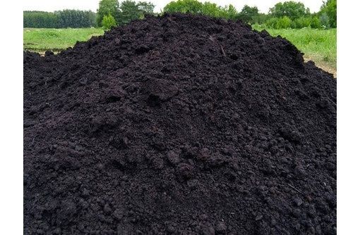 Чернозем плодородный