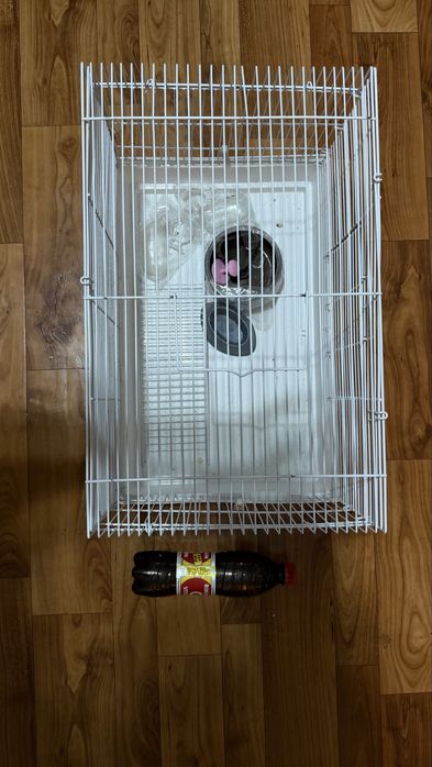 Клетка для грызунов