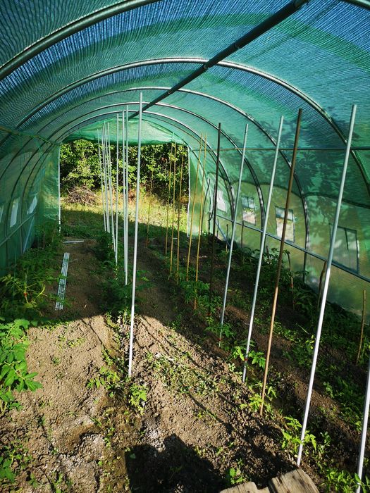 Оранжерия Tunnel Pro 6x3m