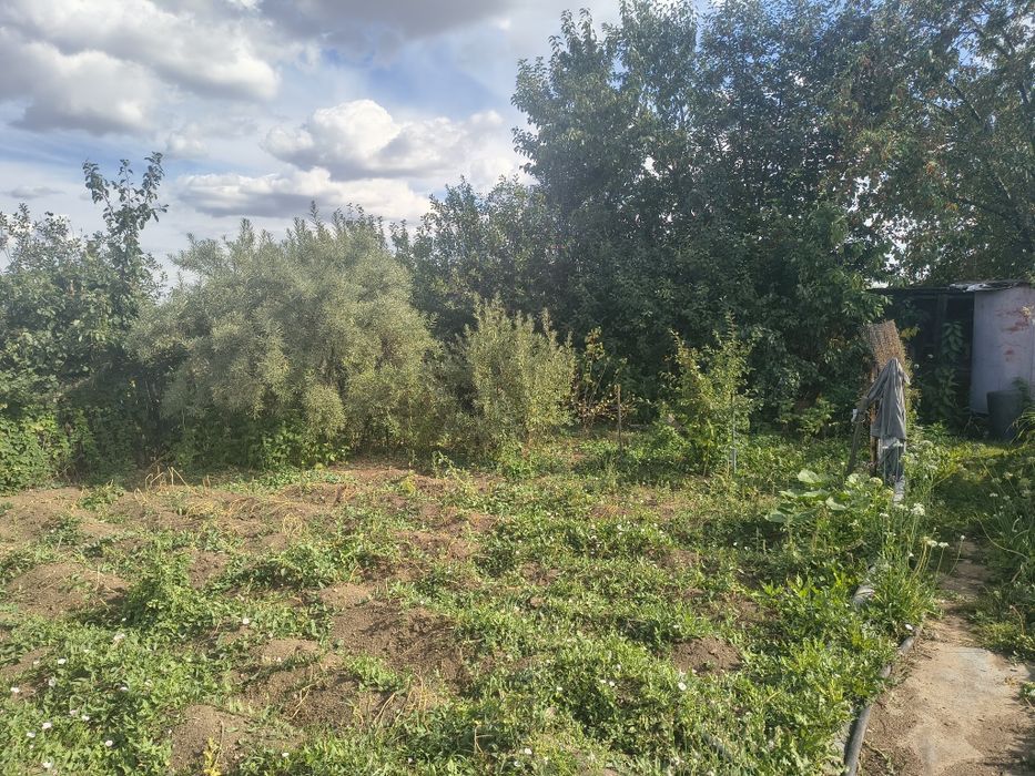 Продам дачу в городе