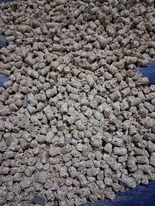 Гранулятор комбикорма новый