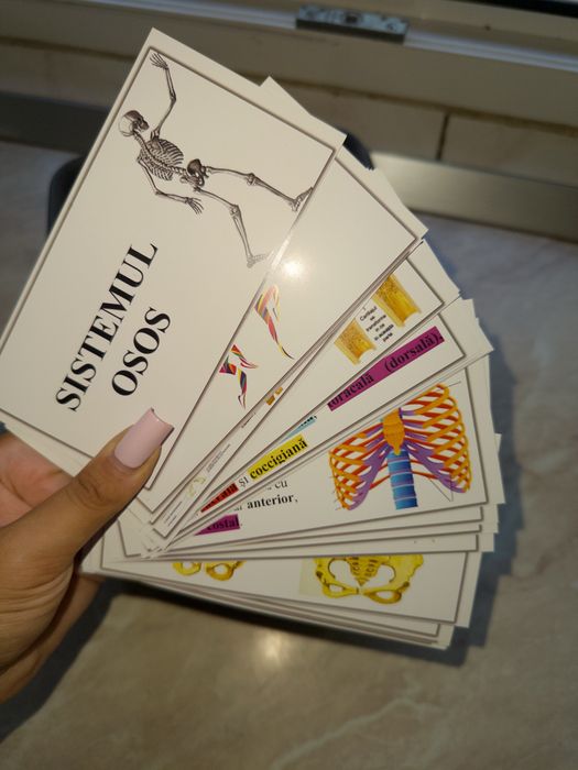Flashcards Biologie Medicina
