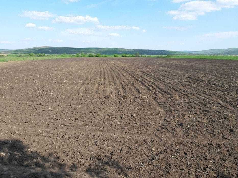 Vând teren cu deschidere la soseaua europeană E581