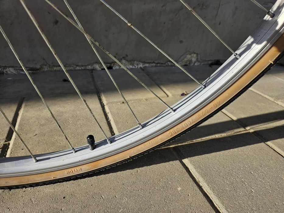 Bicicleta Pegasus Popular