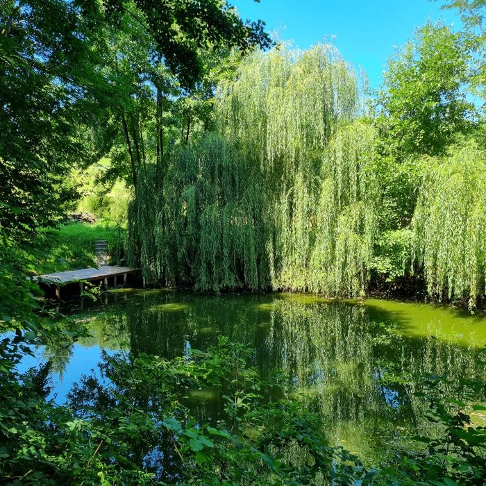 Vând casă si teren