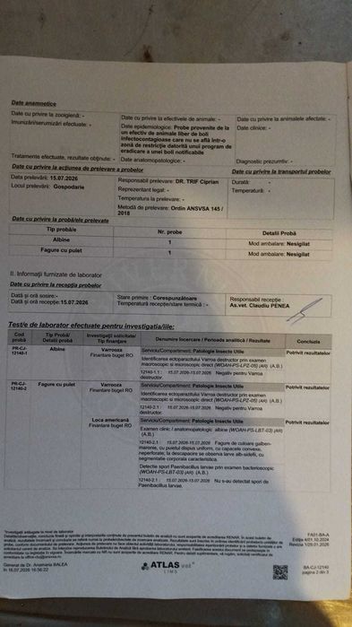 MIERE NATURALĂ de albine, direct de la producator