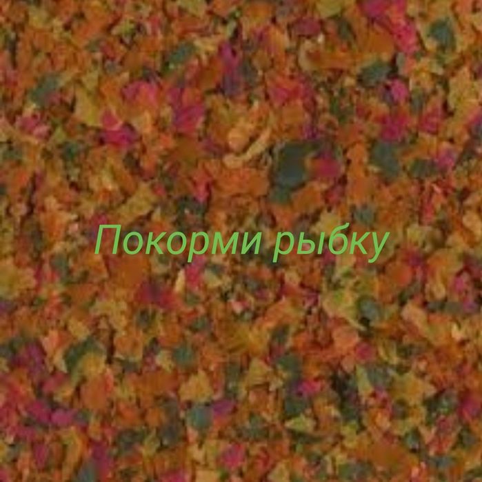 Аквариум в Афалине.ниже Аль Фараби ,Навои