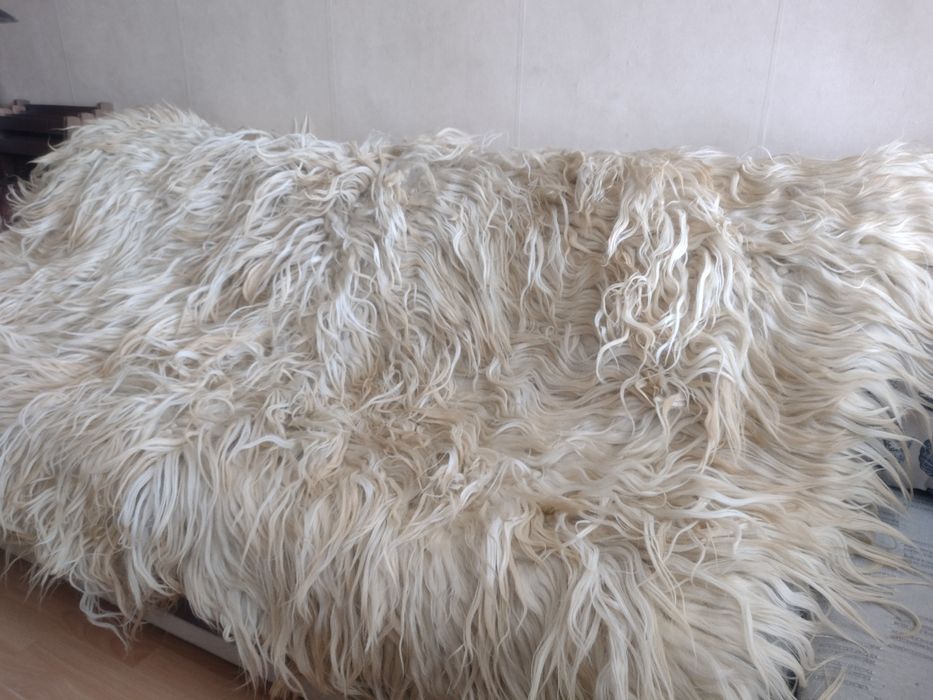 Автентичен Родопски Козяк