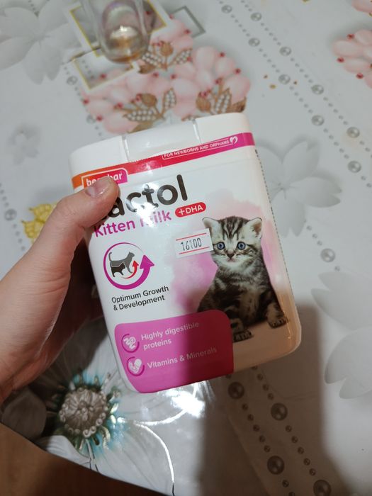 Продам смесь для котят