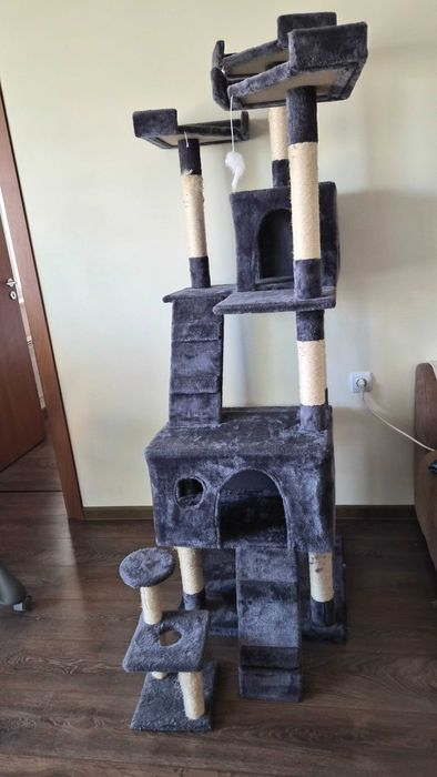 Котешка катерушка