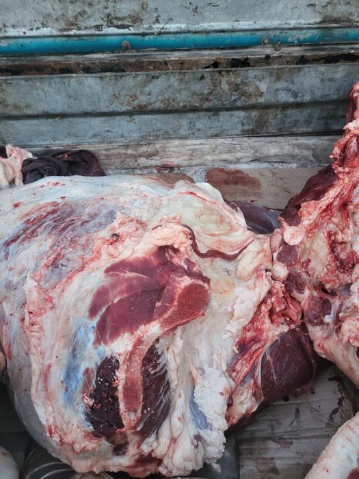 Говядина по частям