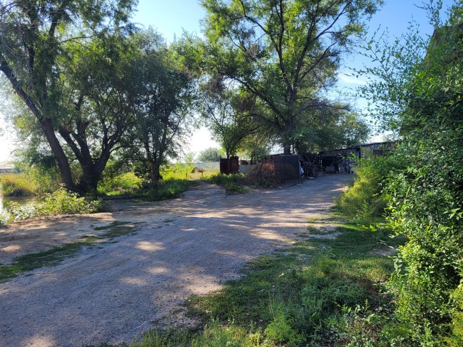 Продам дом возле озера с участком