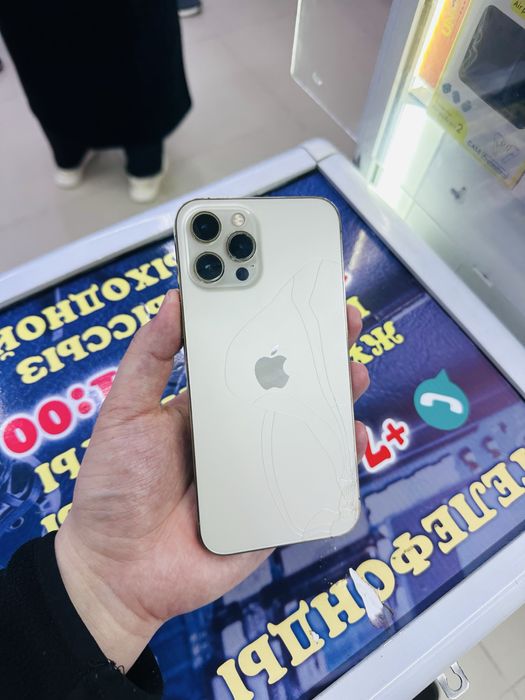 12 про Макс 256