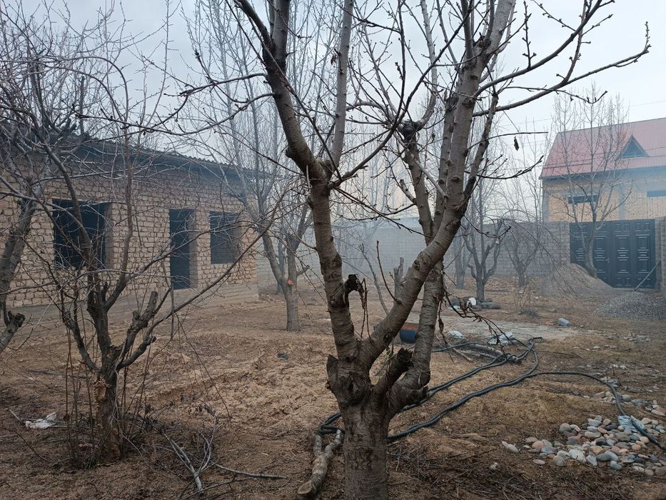 Ховли сотилади 24 соток 9 хона 275000$