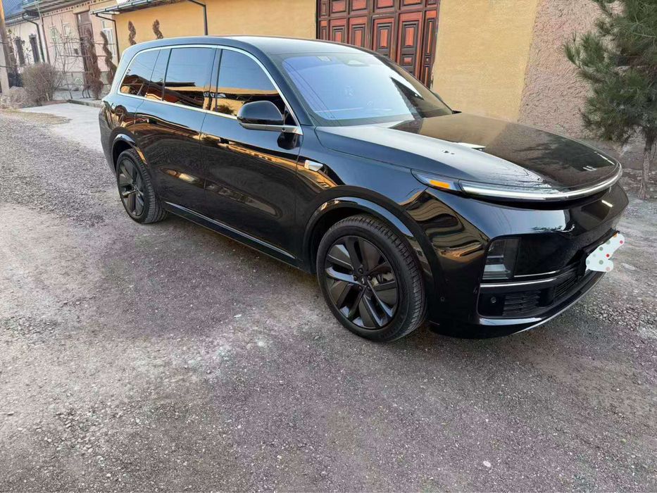 Li 9 не битая без краски