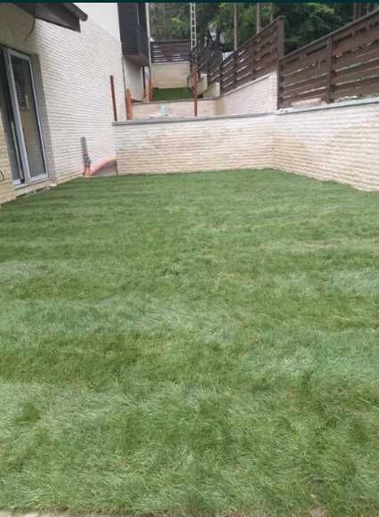 Gazon Rulou Tip Covor – Rezistență Maximă la Soare și Umbră