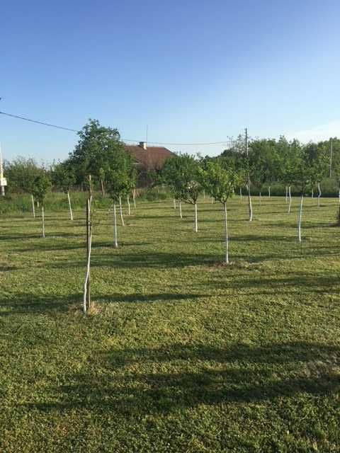 Продава се Къща в с. Горна махала, Област Пловдив - 52 кв.м за 568 €/кв.м - Снимка #3