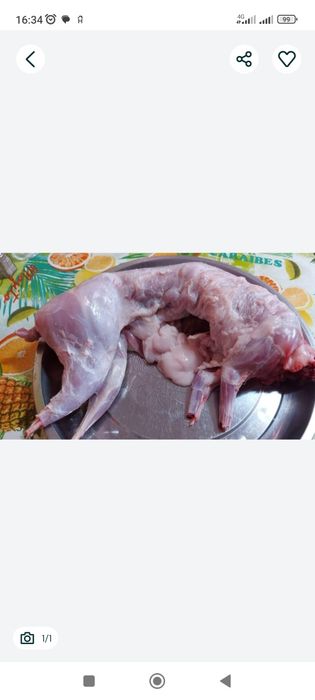 Мясо кролика мясо кролика