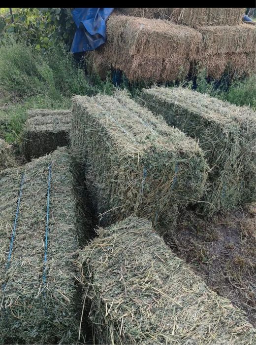 Vand baloti de lucerna