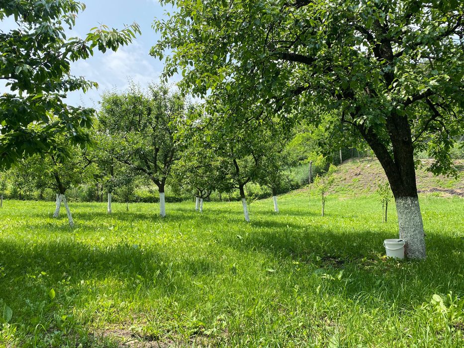 Teren de vânzare în Aiton