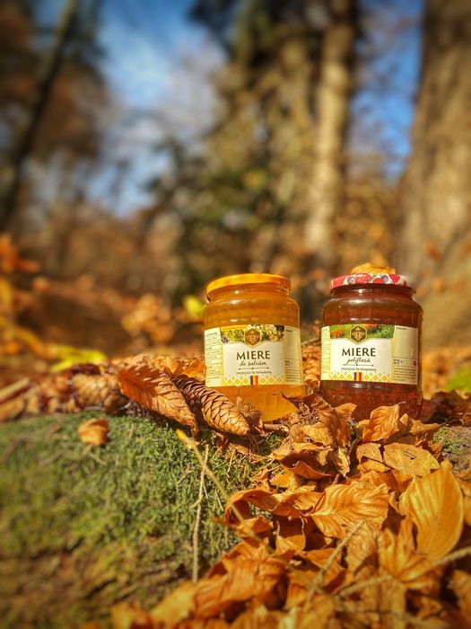 Vând miere de MUNTE, SALCÂM și tinctură de PROPOLIS!