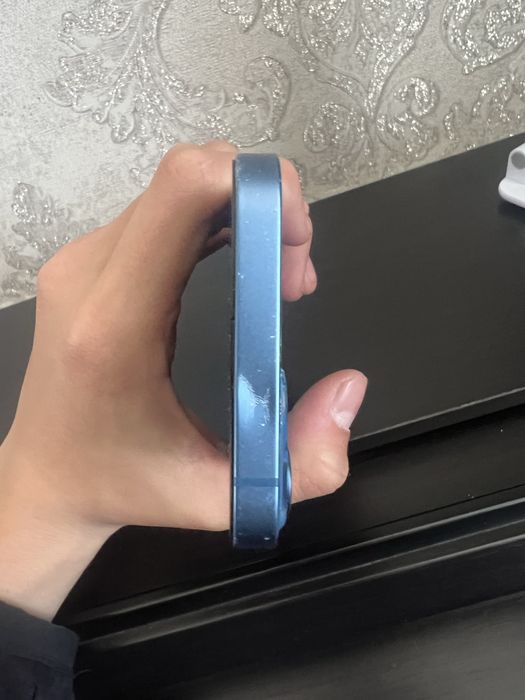 iPhone 13 & 12 Pro Max