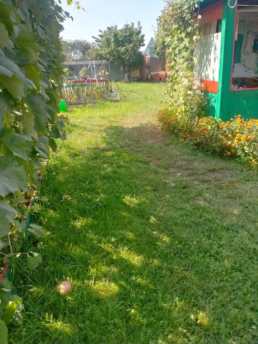 Продам дачу Сад Реченька