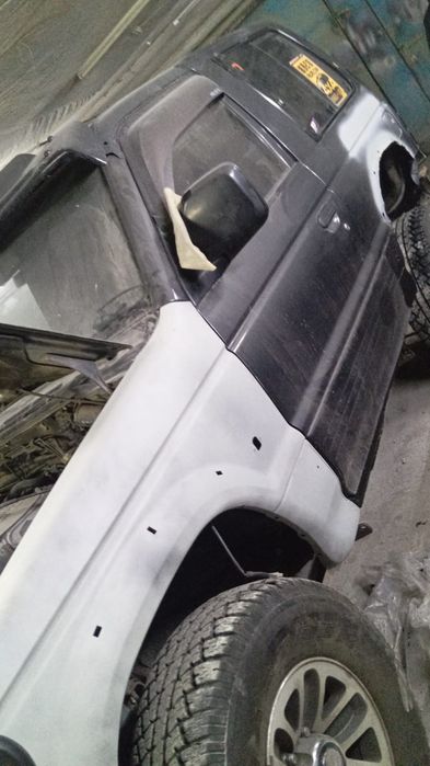 Костоправ, маляр