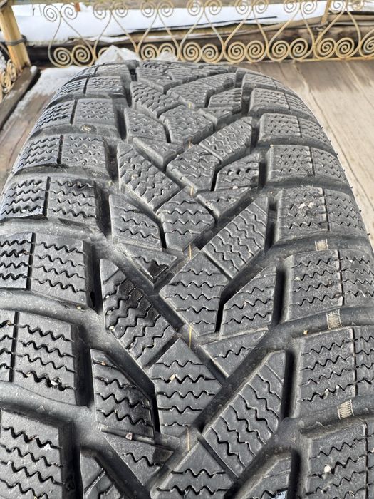 Зимние шины Nexen 195/65R15