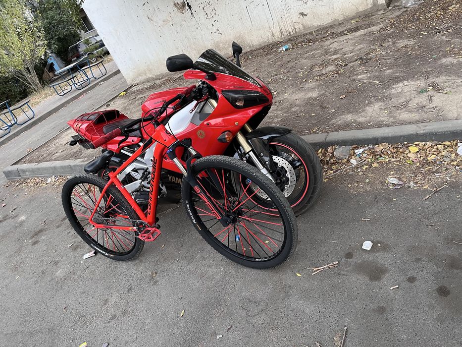 Cannondale Trail 5 (M)