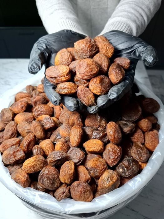 Урюк абрикос сушенный o'rik urik qoqi