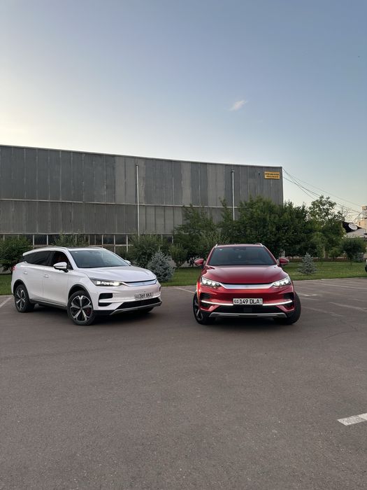 VELVET RENT A CAR! Прокат Авто! Kunlik ijara