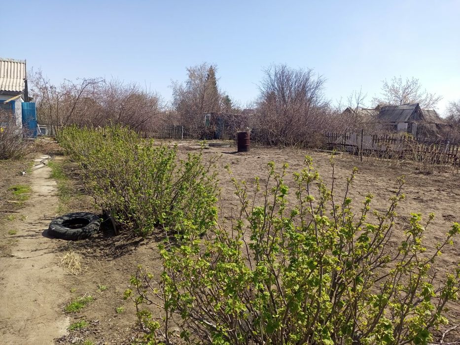 Дачный участок с домиком