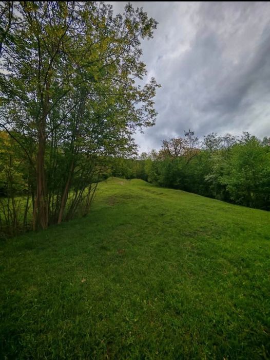 Teren de vânzare Drajna de sus