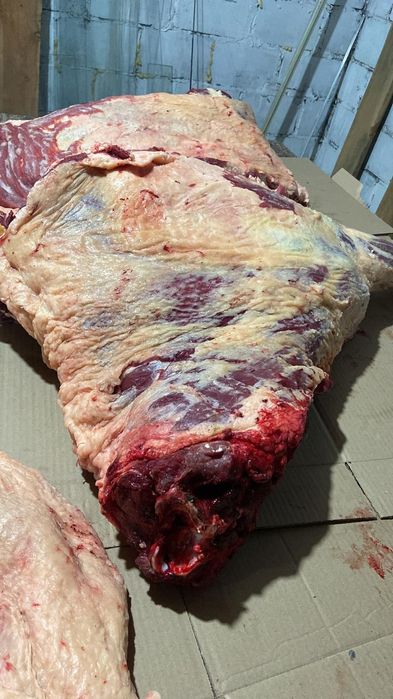 Мясо молодняк Конина Говядина