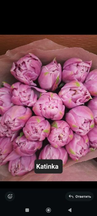 Тюльпаны опт и розница по выгодной цена