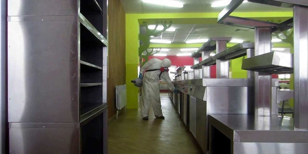 Dizinfeksiya | Dezenfeksiya | Dizenfeksiya | klapa burga клоп блохи Q1