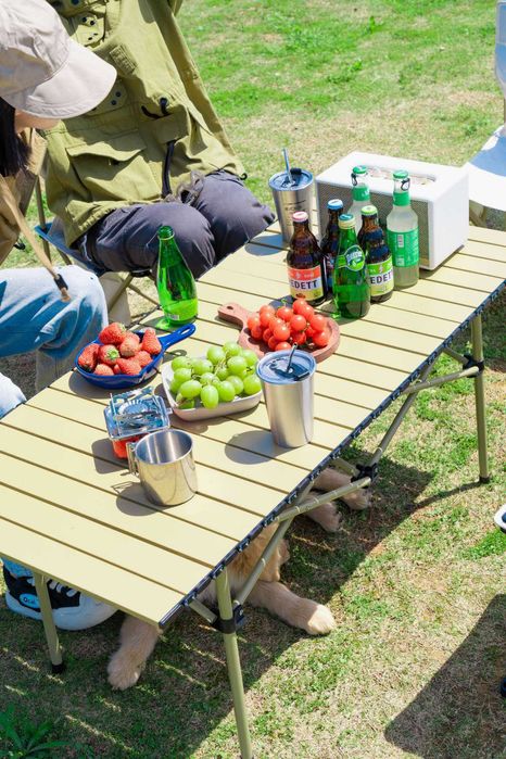 Столы и стулья для пикника и отдыха на природе.