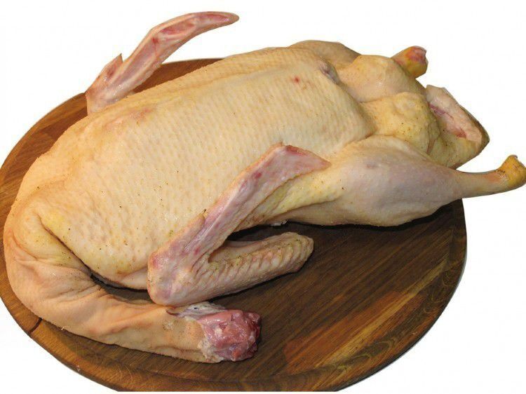 Продам тушки гусей.