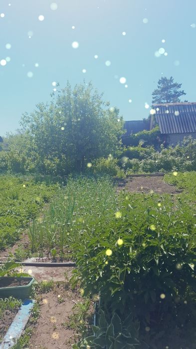 Продам дачу в  с/о Дархан