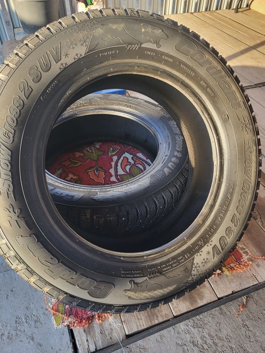 Автошины зимние с шипами