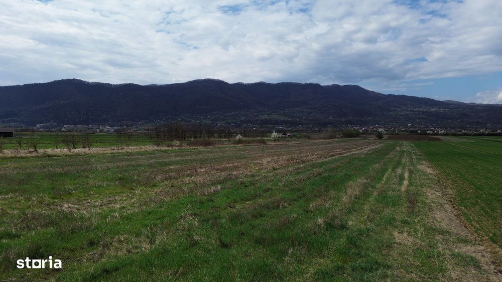 Teren / Jiblea Noua / Calimanesti /