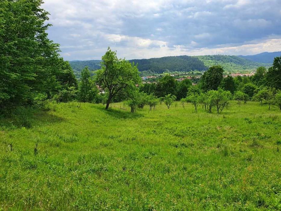 24.500mp - TEREN INVESTIȚII-1.6€/ mp Camping/Pensiune/Turism PANORAMĂ