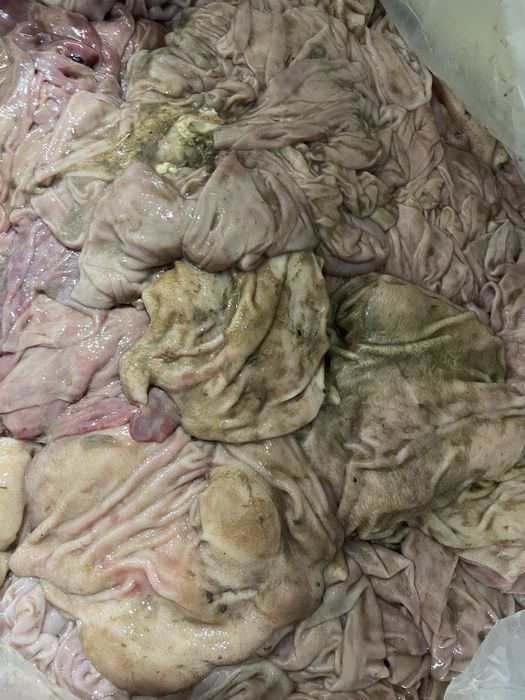 Сычуг корм для собак